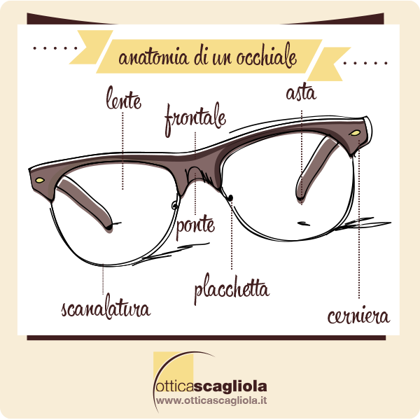 anatomia di un occhiale - le parti dell'occhiale